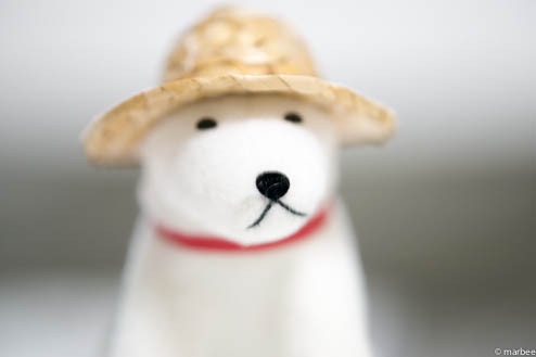 お父さん犬ISO200