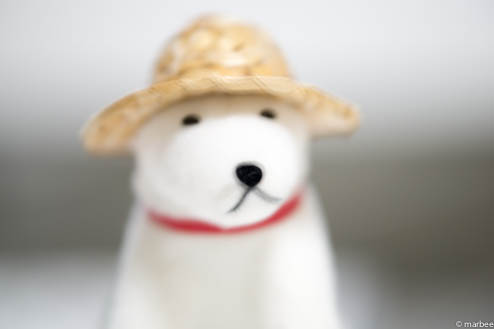 お父さん犬ISO100