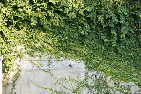 フランス公使館後