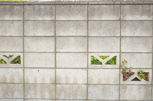 E30mmF3.5Macro歪曲テスト