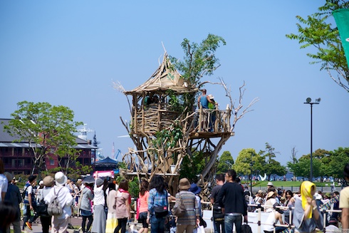 謎のツリーハウス