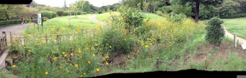 パノラマ写真(失敗) パノラマ写真(失敗)