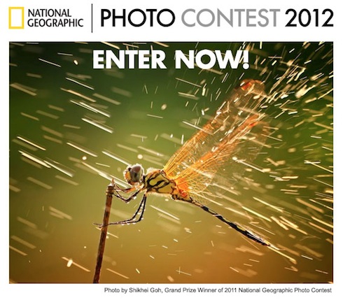National_Geographic_Photo_Contest National_Geographic_Photo_Contest