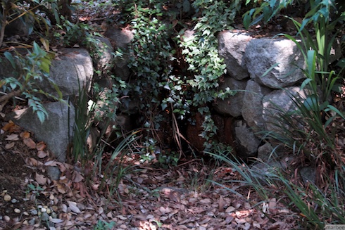 謎の水吹き出し口 謎の水吹き出し口