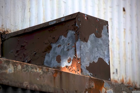 朽ちた角 朽ちた角