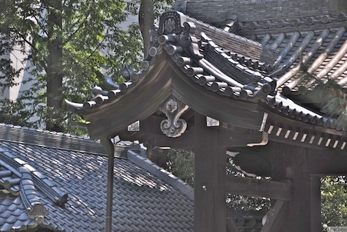 入口の門 入口の門