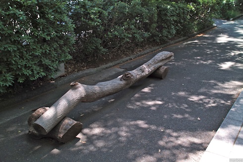 ベンチ? ベンチ?