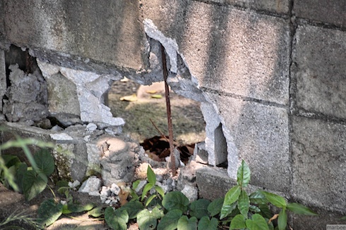 穴の開いたブロック塀 穴の開いたブロック塀