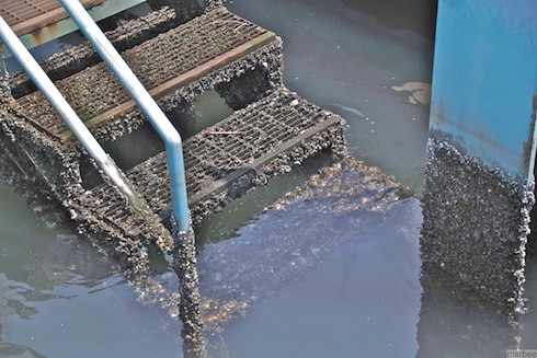 海に続く階段 海に続く階段