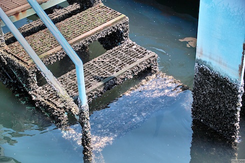 水没している階段 水没している階段