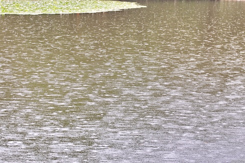 雨に降られて 雨に降られて