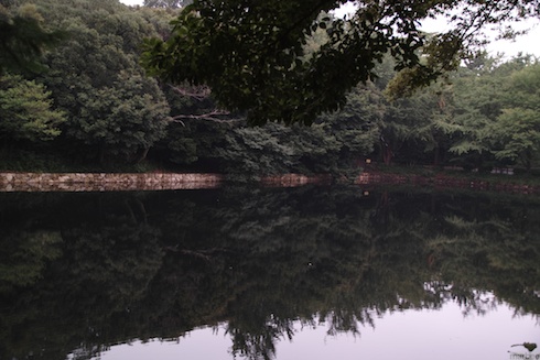 池
