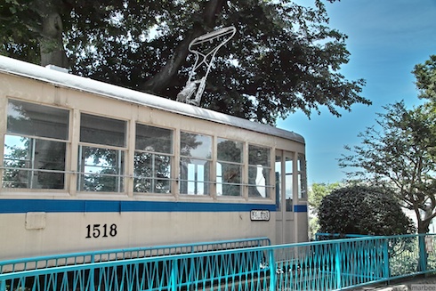 野毛山動物園の電車