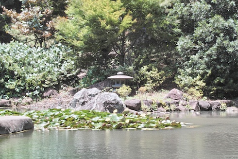 野毛山公園の池