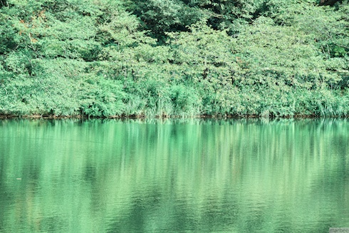 池(緑Ver) 池(緑Ver)