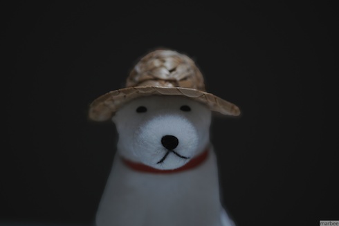 お父さん犬(覆い焼き後) お父さん犬(覆い焼き後)