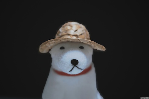 お父さん犬(覆い焼きのスライダーもMAX) お父さん犬(覆い焼きのスライダーもMAX)