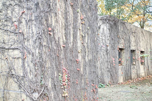 山下公園駐車場上の壁 山下公園駐車場上の壁