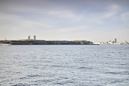 大さん橋 大さん橋