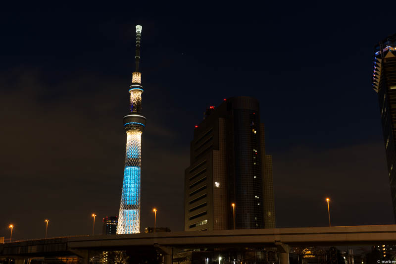 東京スカイツリーの浅草からの夜景