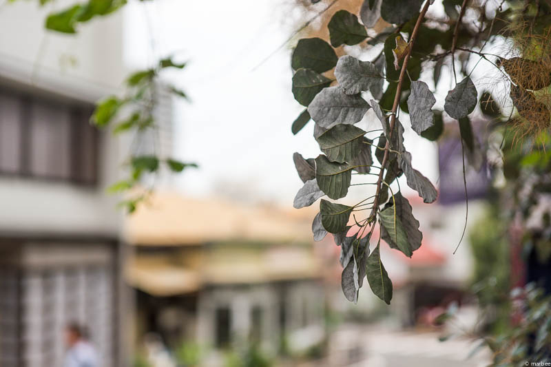 コクリコ坂でモデルになった花屋さん