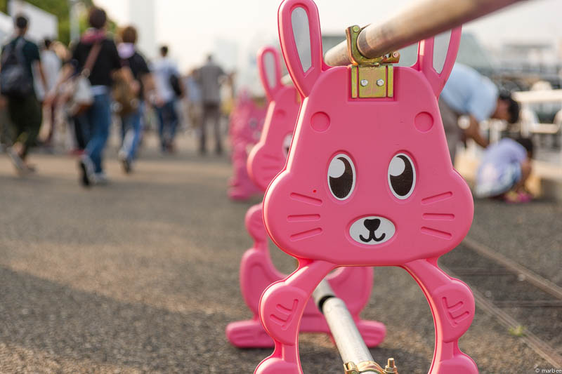 山下公園 入場制限するウサギ
