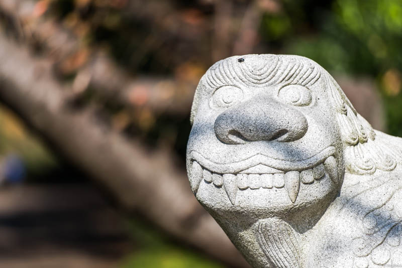 韓国の狛犬