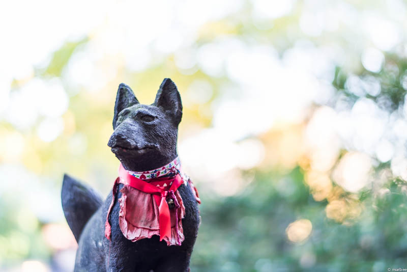 根津神社 狐