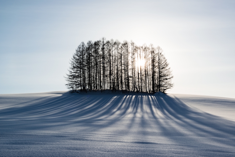 雪とマイルドセブンの丘