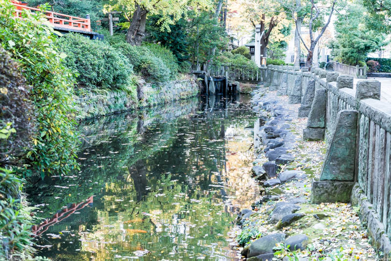 根津神社の池