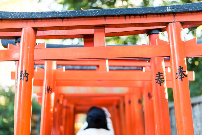 根津神社の鳥居