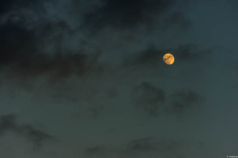 月は出ているか？