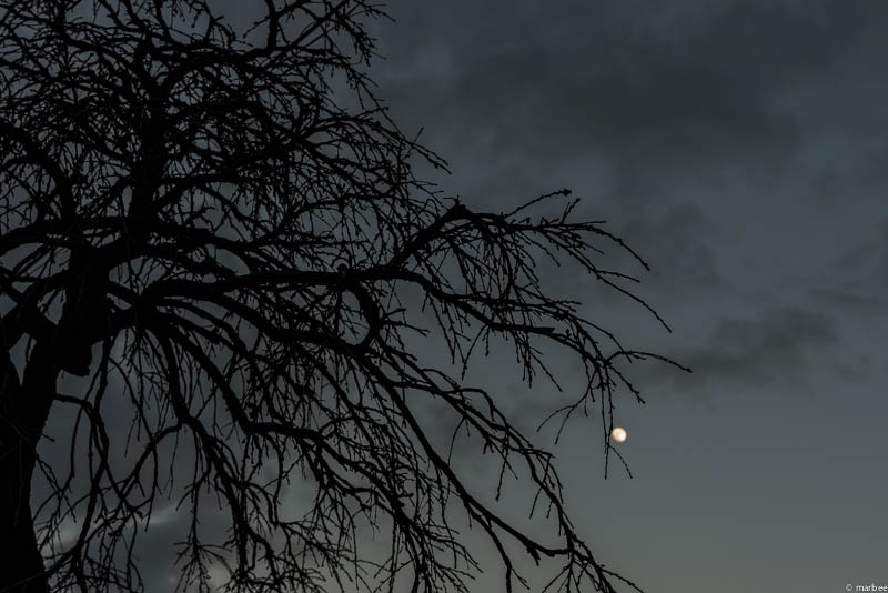 そして日が暮れた