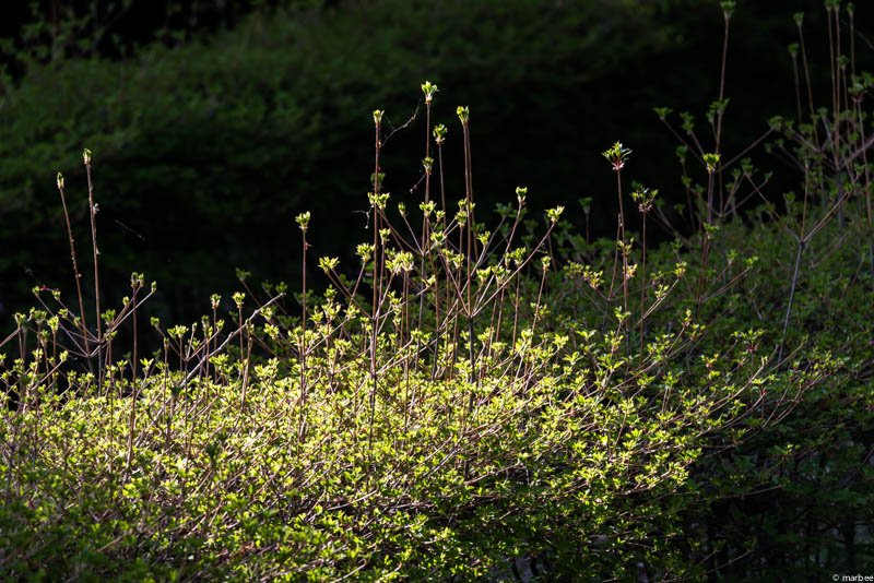 光の差し込む場所