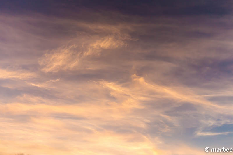 朝と夜の間 空の上がまだ夜 下はもう朝 真ん中が朝でも夜でも無い空