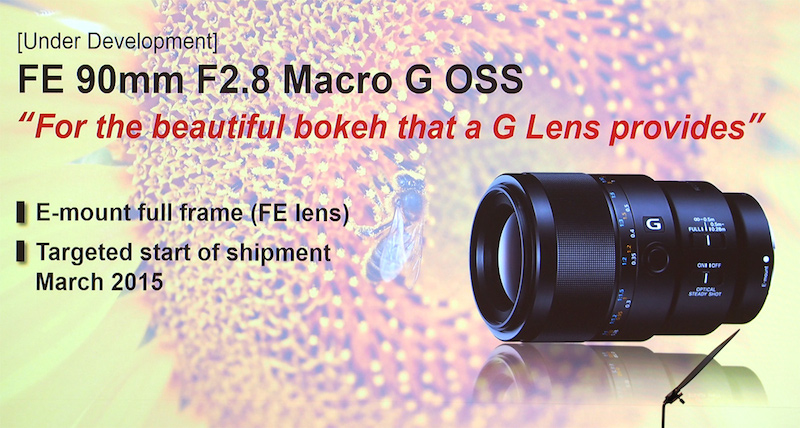 SONY FE 90mm F2.8 Macro G OSS