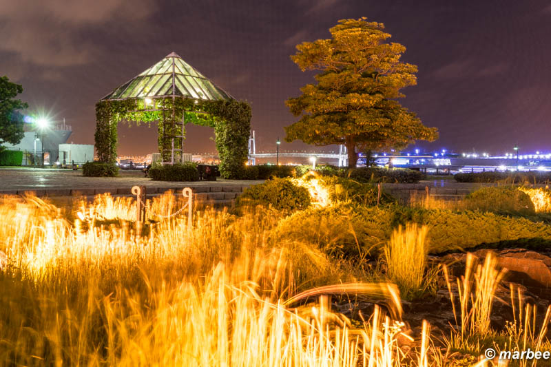 横浜のマジックアワー 赤レンガ倉庫の外れ