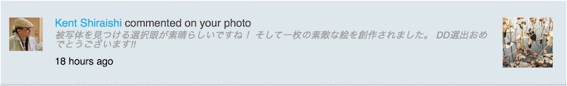 DD選出された「Lotus pond」にkentさんからコメント頂けました
