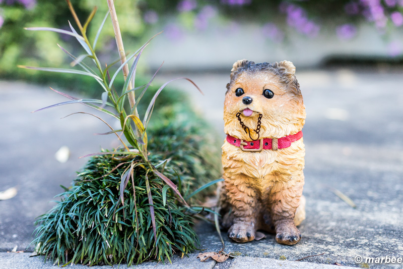 犬の置物 こういうのが置いてある所が横浜ぽい