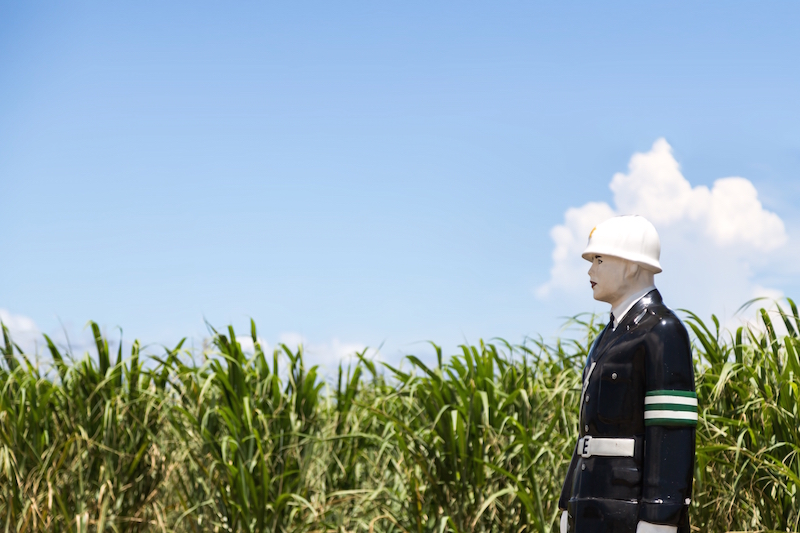 青空とサトウキビ畑と宮古まもる君