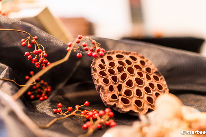 枯れた蓮 独特の雰囲気で魅力的