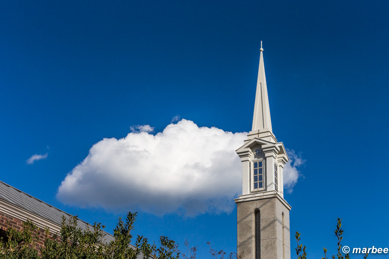 塔と青空 快晴だね。冬の青空は清々しい。