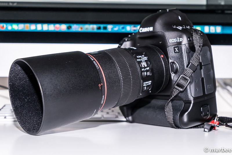 EF100mm F2.8L マクロ IS USM