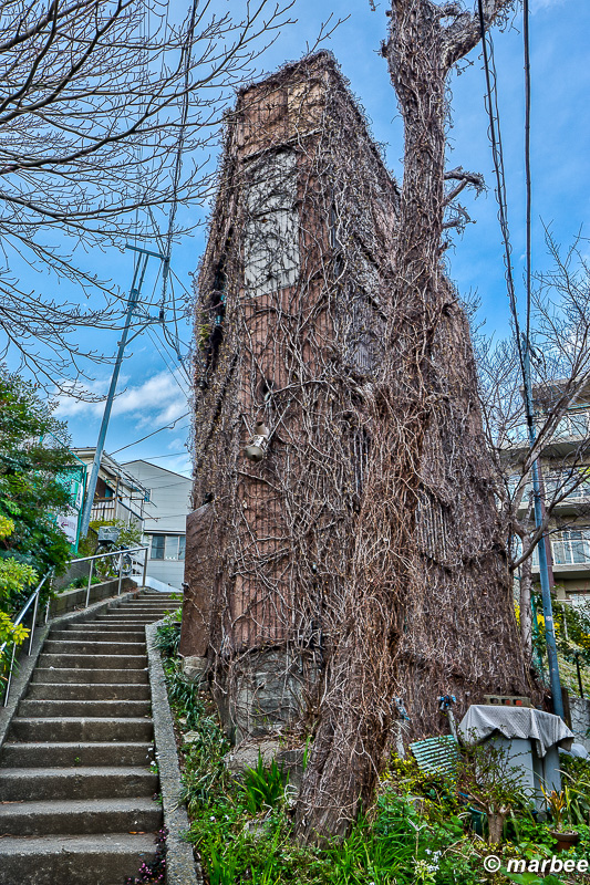 蔦の家 201501 人が住んでいるのかどうかはわからない