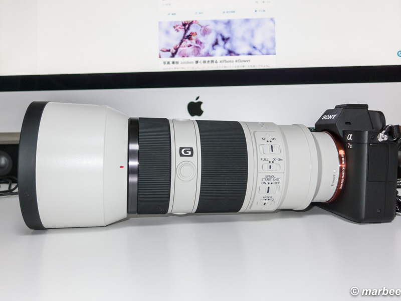 SONY 望遠ズームレンズ FE 70-200mm F4 G OSS 購入