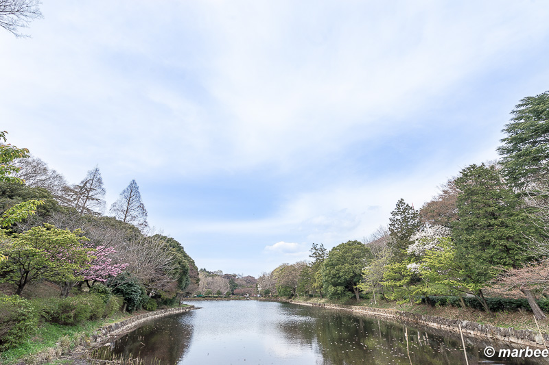 写真 ある春の1日 春は花曇り