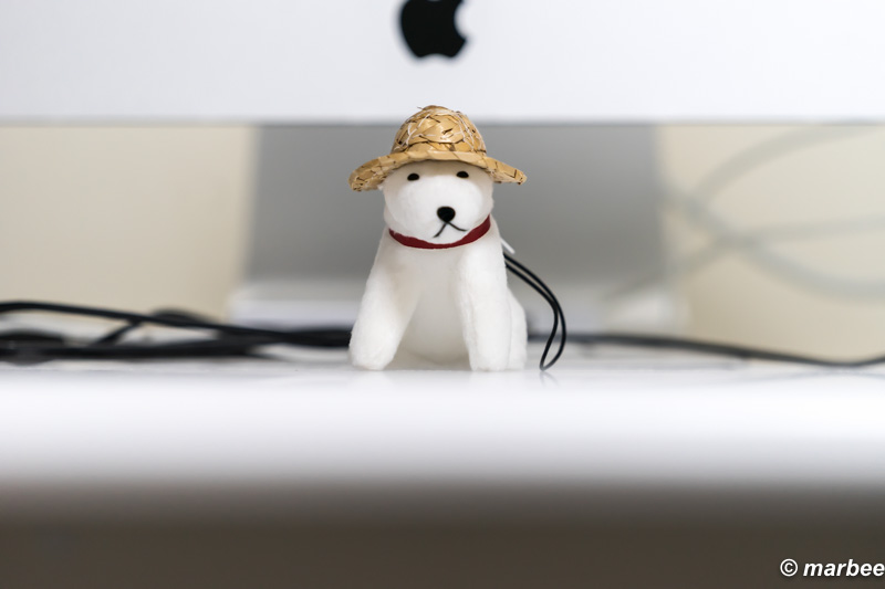 FE 70-200mm F4 G OSS 単体