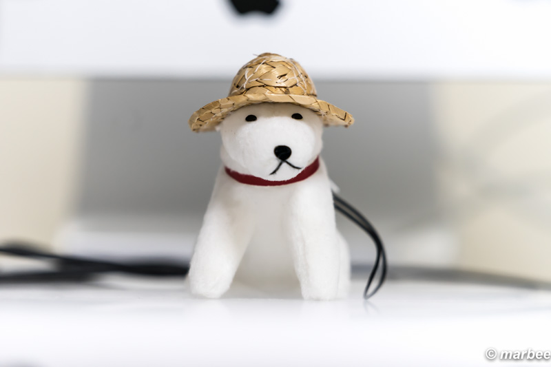 FE 70-200mm F4 G OSS + 10mm