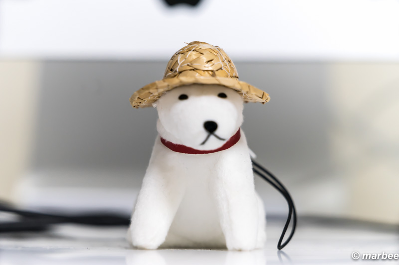 FE 70-200mm F4 G OSS + 16mm