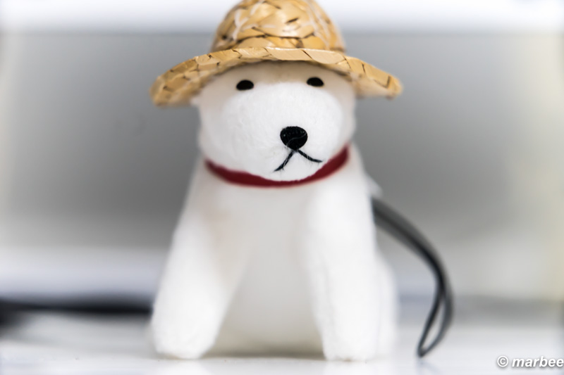 FE 70-200mm F4 G OSS + 10mm + 16mm